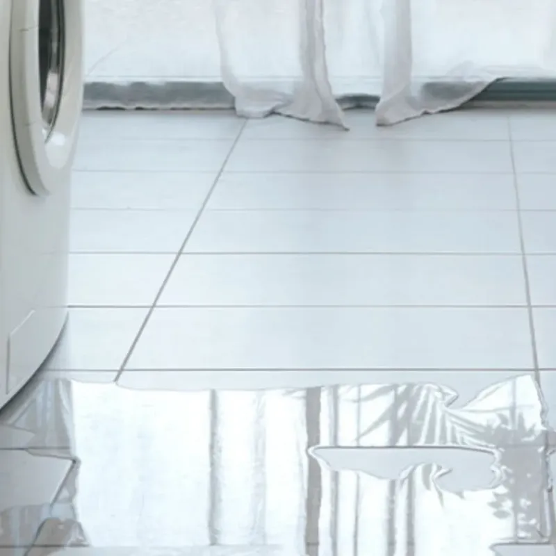 Appliance Leak Cleanup in Newaygo County, MI