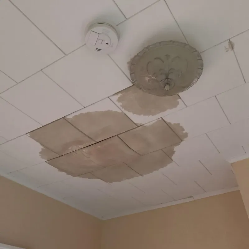 Ceiling Water Damage Repair in Newaygo County, MI