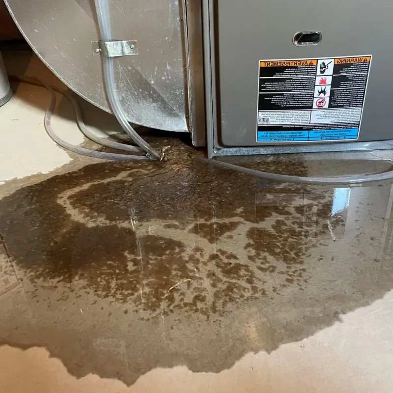 Pipe Burst and Leak Restoration in Newaygo County, MI