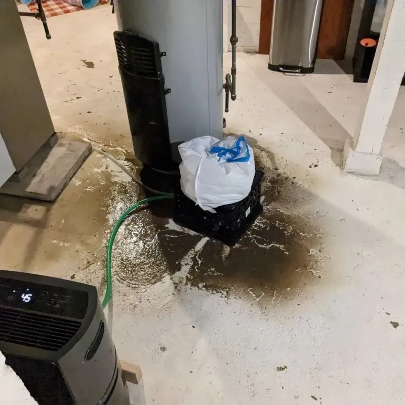 Sewage Backup Cleanup Service in Newaygo County, MI